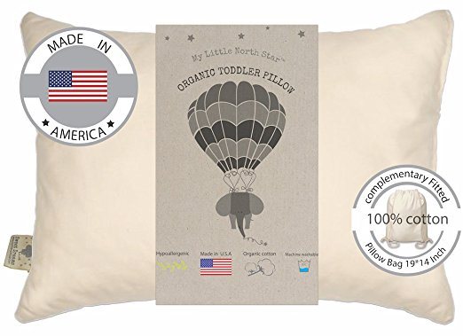 Best organic toddler pillow