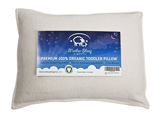 Best organic toddler pillow